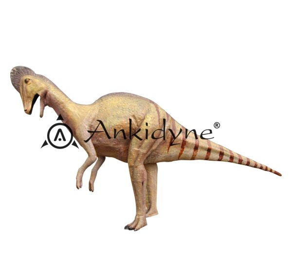 Evolution Park Model Manufacturer