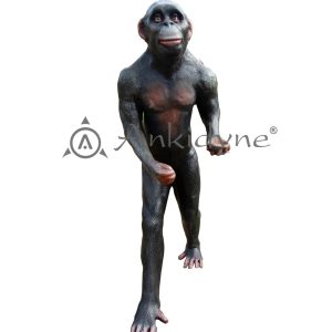 Chimpanzee Evolution Park